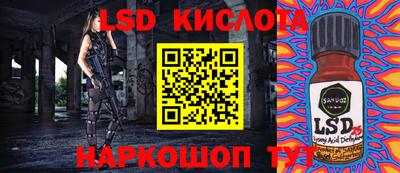 дмт Камышлов