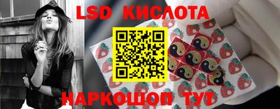кокс Кандалакша