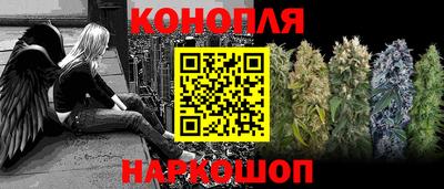 дмт Камышлов