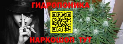 кокс Кандалакша