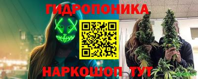 кокс Кандалакша