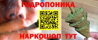 кокс Кандалакша